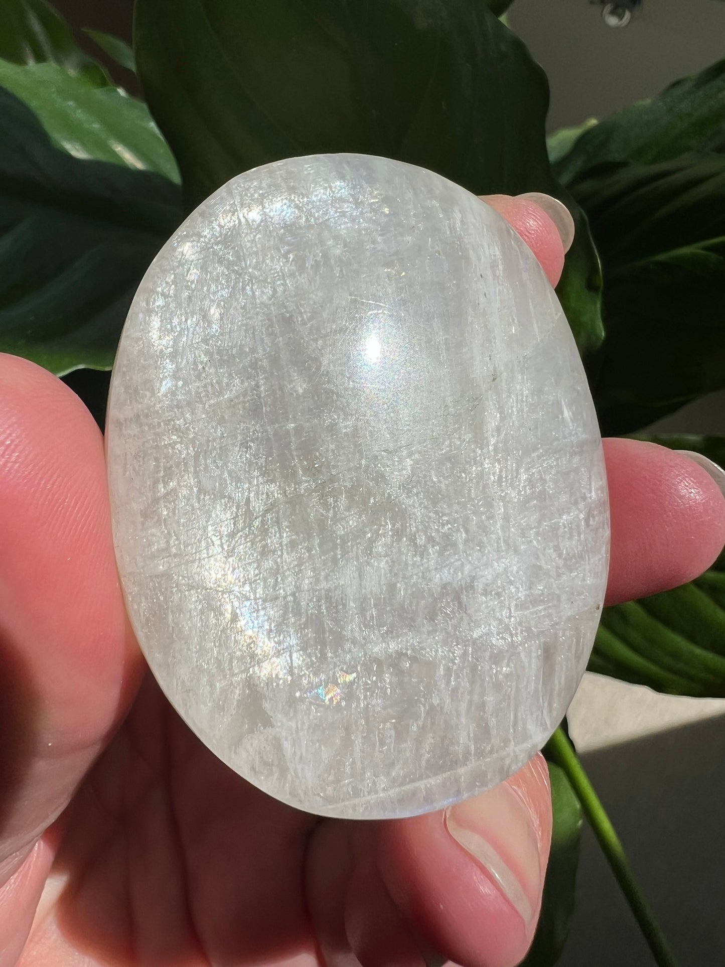 Moonstone Palmstone