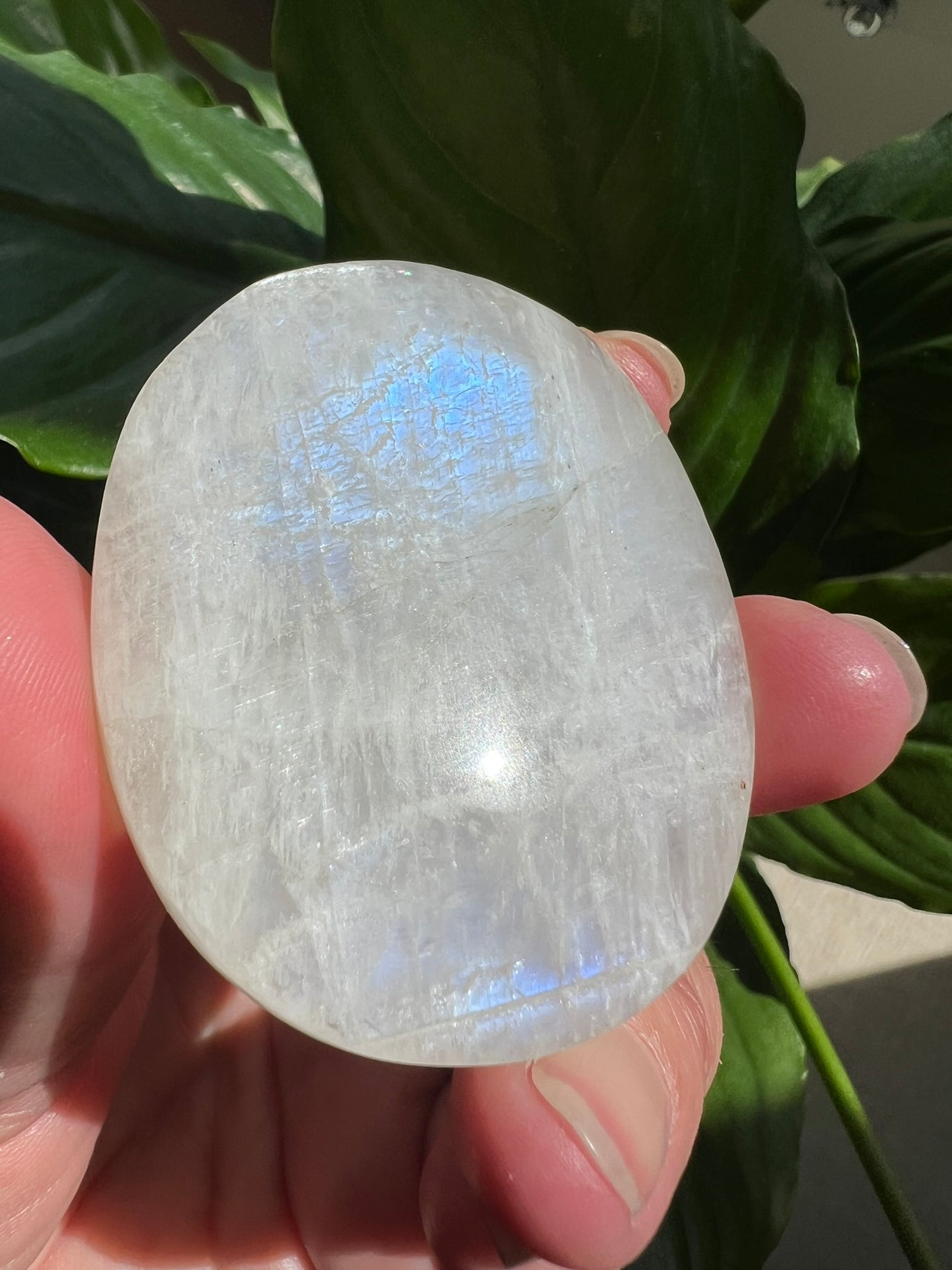 Moonstone Palmstone