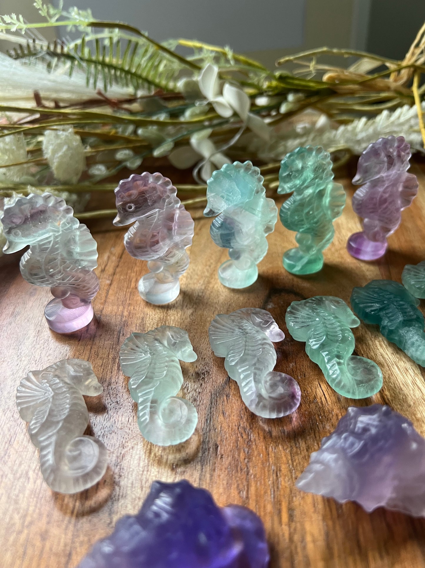 Fluorite Sea Creatures