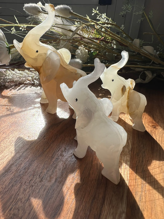 White Calcite Elephant Set