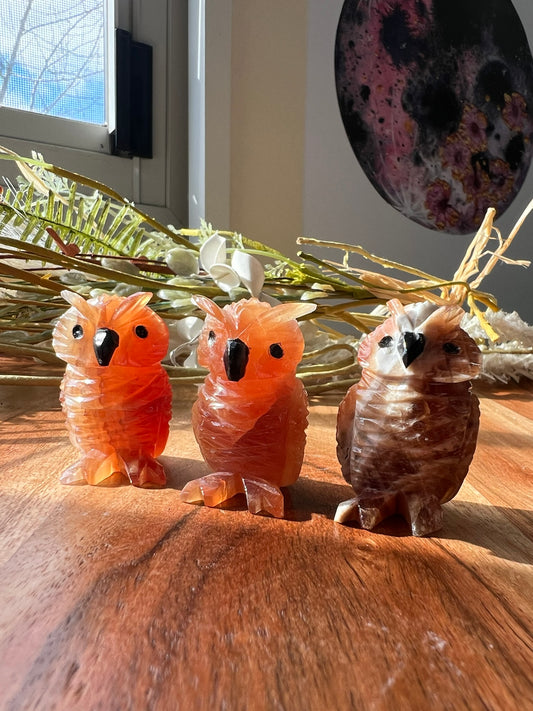 Honey Calcite Owls