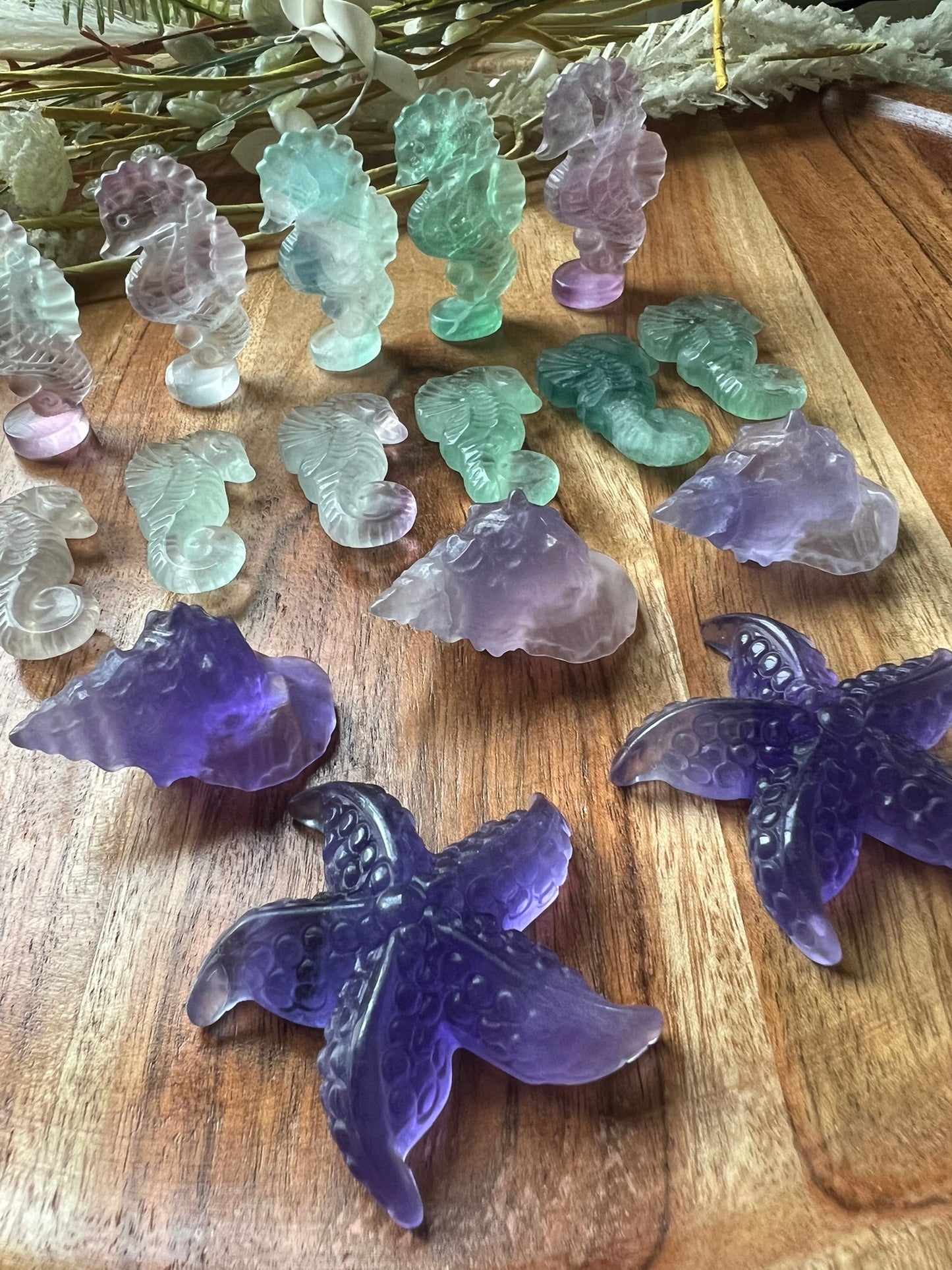 Fluorite Sea Creatures