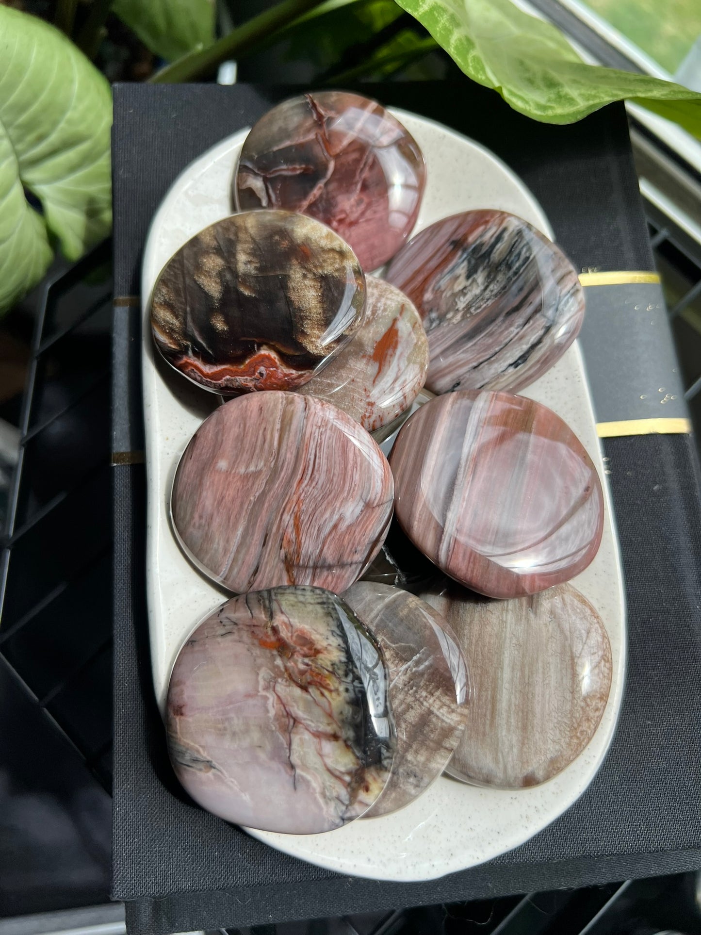 Petrified Wood Flat Stone