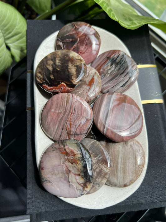 Petrified Wood Flat Stone
