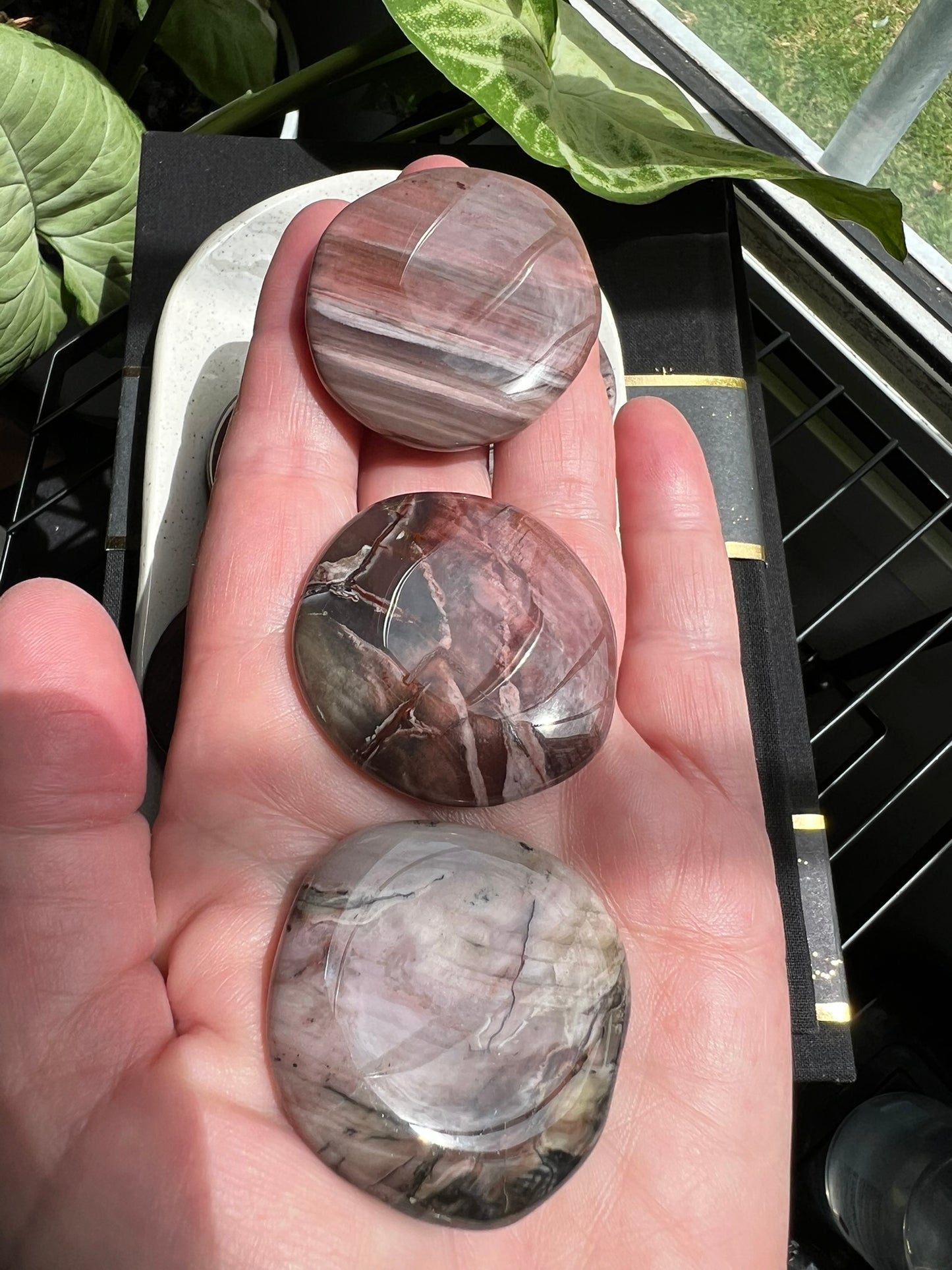 Petrified Wood Flat Stone