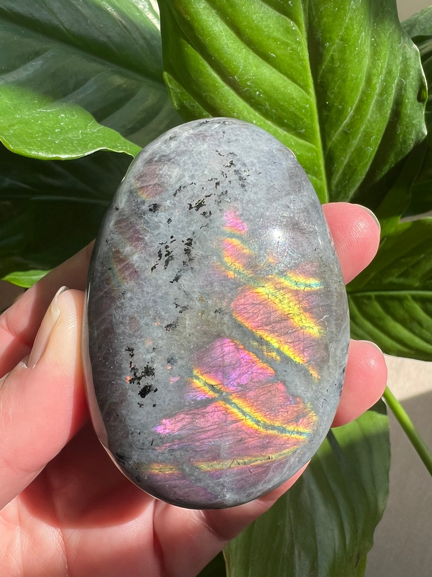 Labradorite Palm
