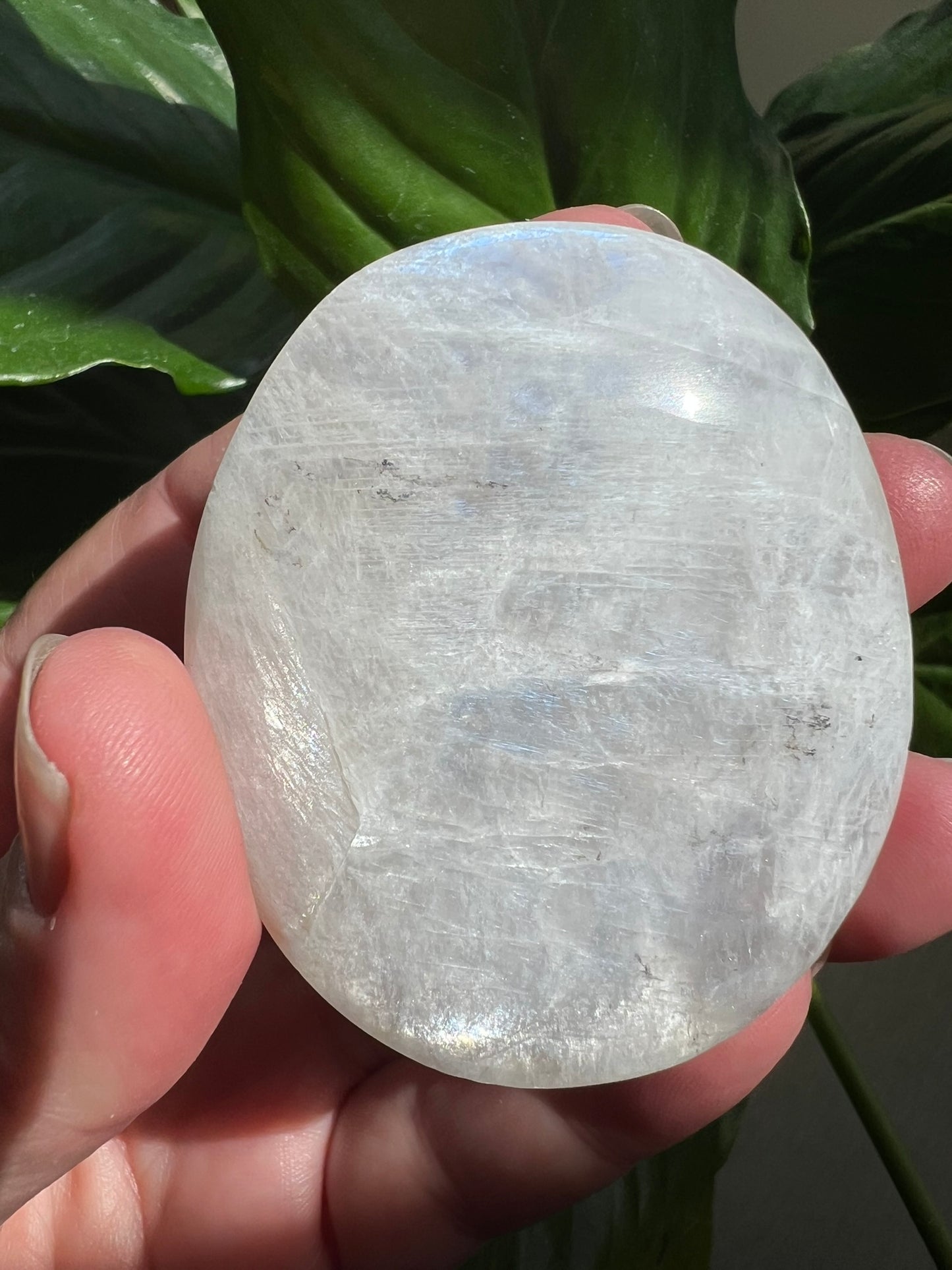 Moonstone Palmstone
