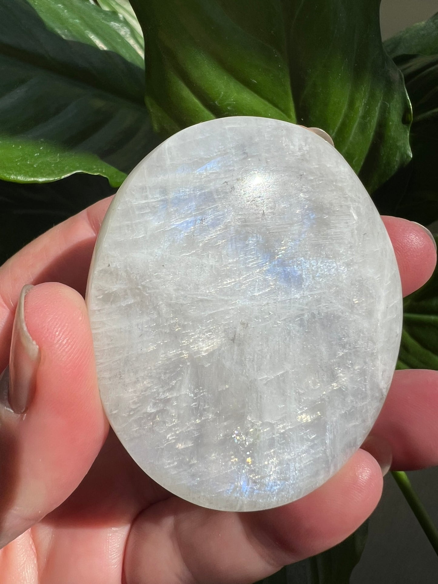 Moonstone Palmstone