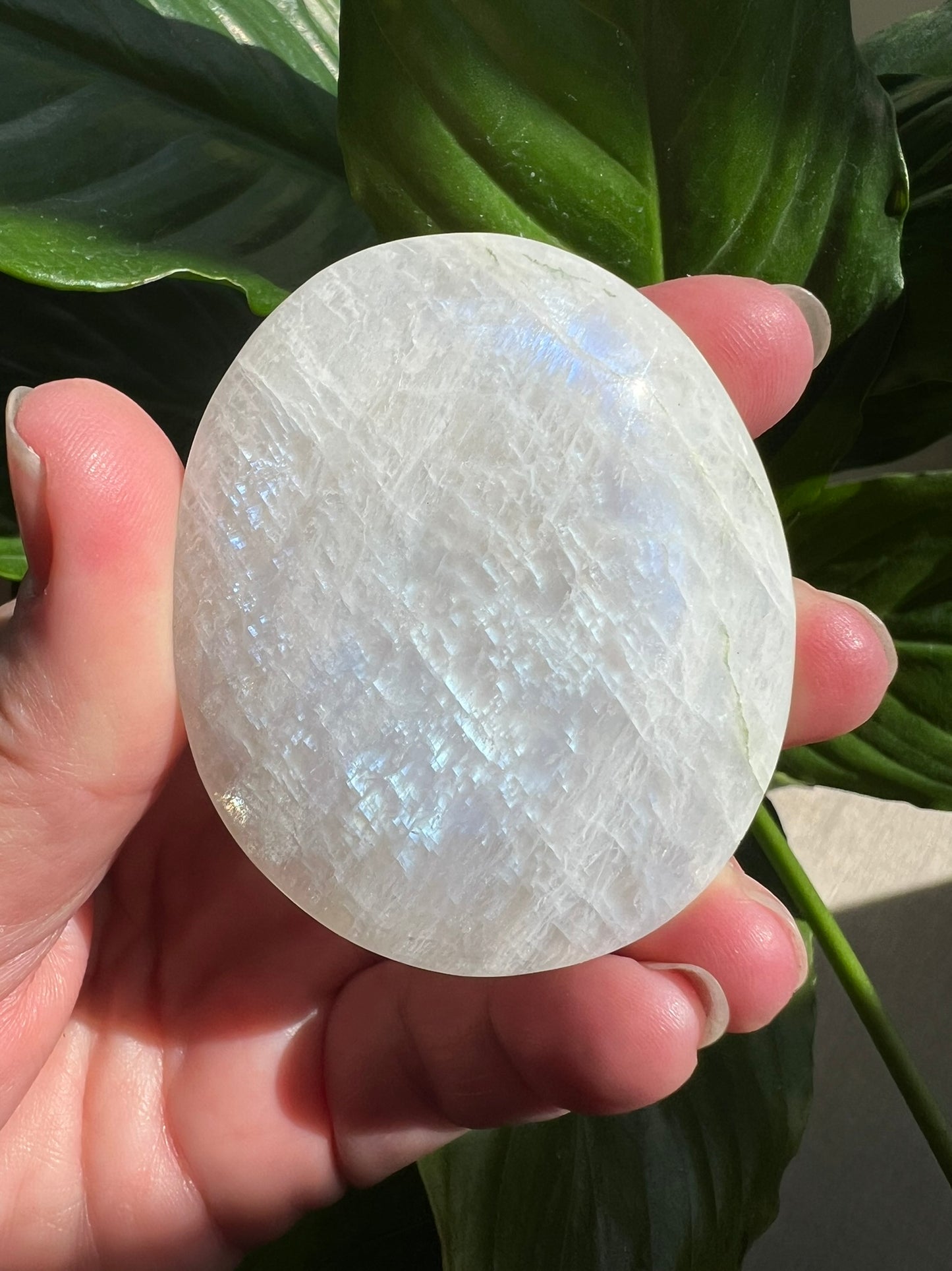 Moonstone Palmstone