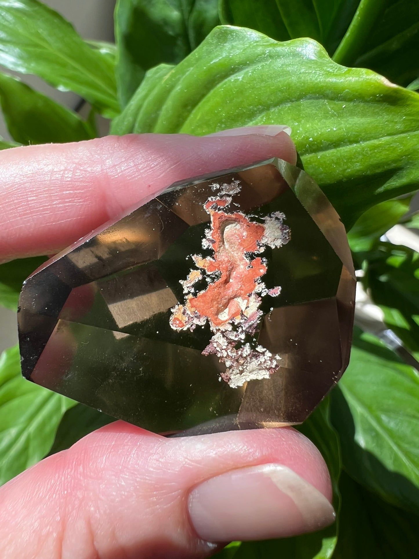 Clear Quartz Freeform with Inclusions