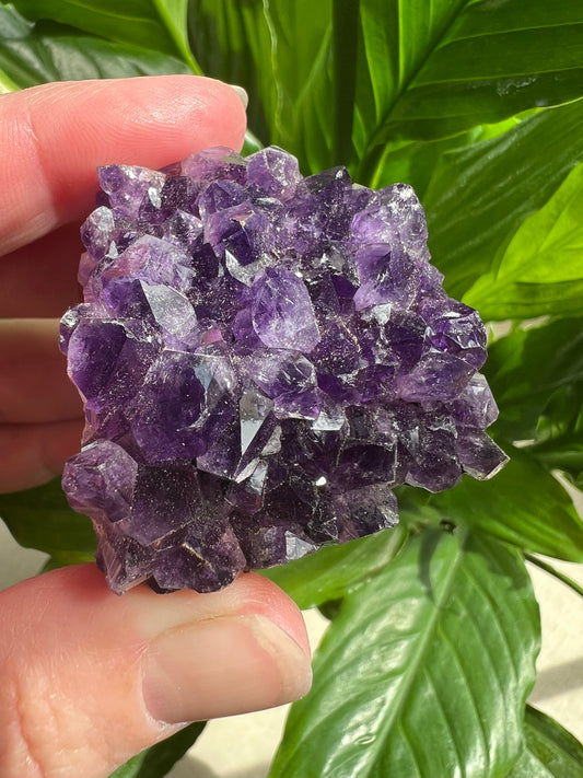Amethyst Rough