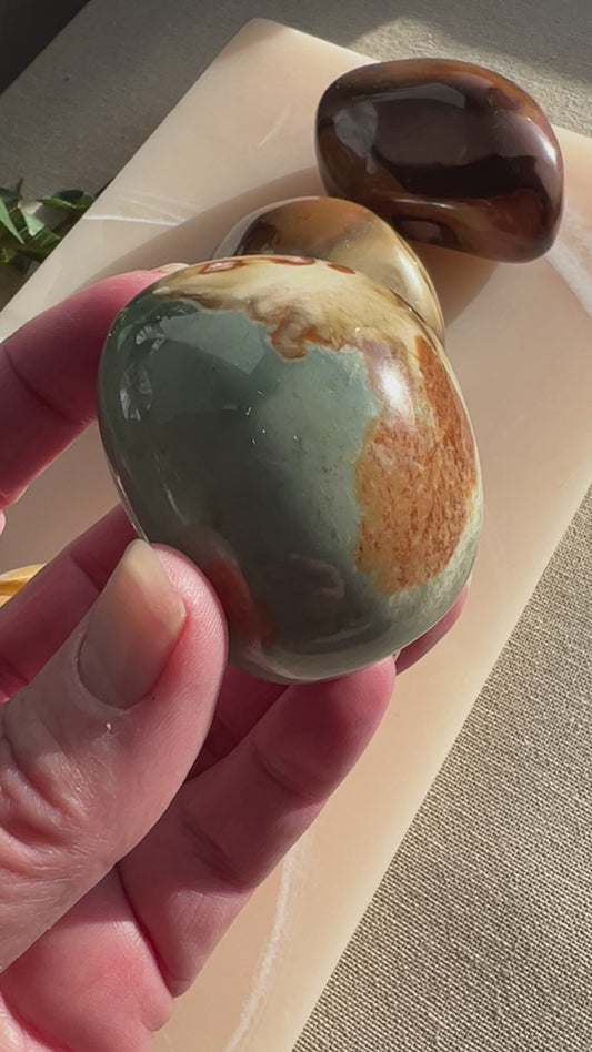 Polychrome Jasper Palmstone