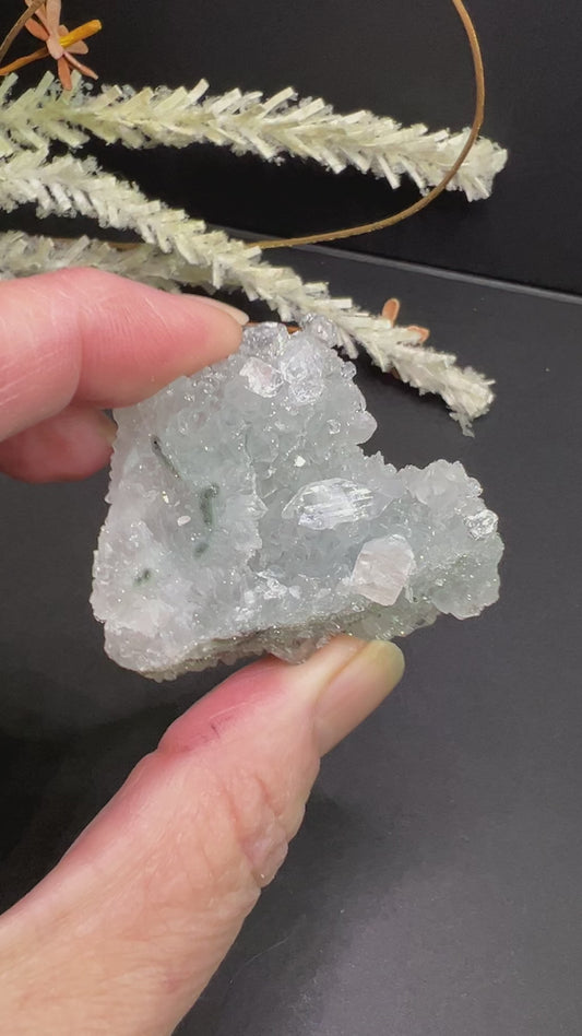 Diamond Apophyllite